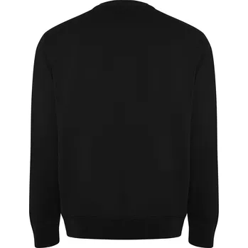 Dámská mikina Pánská mikina Batian černá (02) 3XL