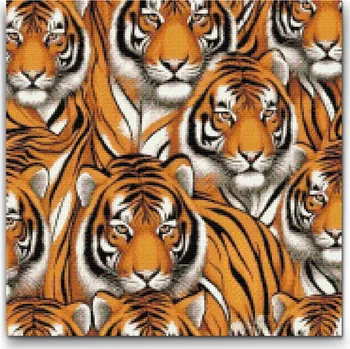 Diamantové malování Diamantové malování - Tygří hlavy Velikost: 50x50cm, Rámování: Pouze srolované plátno, Diamanty: Čtvercové