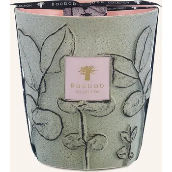 Svíčka Baobab Collection Vonná Svíčka Folia Maquis, zelená