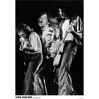 Plakát Plakát, Obraz - Van Hallen - Group