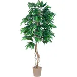 Plantasia Umělý strom mango 180 cm