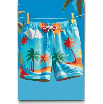 Malování podle čísel - Letní plavky Velikost: 20x30cm, Rámování: Pouze srolované plátno