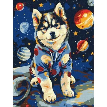 Set školních potřeb Malowanie po numerach - Kosmiczny husky 30x40cm