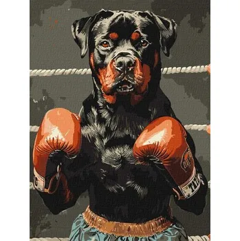 Set školních potřeb Malowanie po numerach - Moc ringu 30x40cm