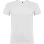 Dětské tričko Beagle bílá (01) 1