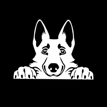 Samolepicí dekorace na vozidlo Samolepka se psem | samolepka na auto, dekorace na auto - QT1248 bílá , Šířka 28 cm