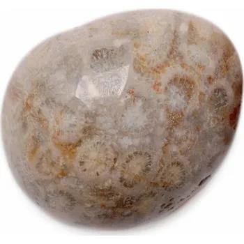 Drahý kámen Zkamenělý korál tromlovaný XL - cca 3 - 4 cm