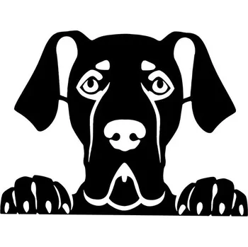 Samolepicí dekorace na vozidlo Samolepka se psem | samolepka na auto, dekorace na auto - QT1243 černá , Šířka 8 cm
