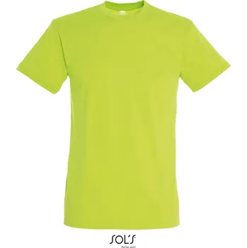 Pánské tričko Tričko Regent apple green XL