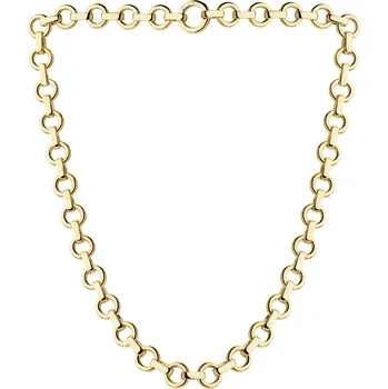 Náhrdelník Zlatý náhrdelník - AP541-3766