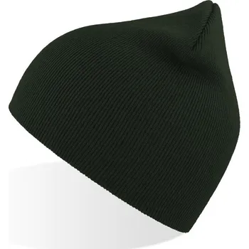 Oblečení a móda Pletená čepice Recy Beanie bottle green onesize