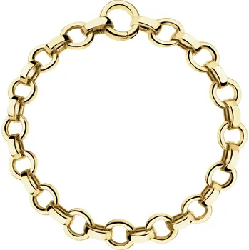 Náramek Zlatý náramek - AP541-3805