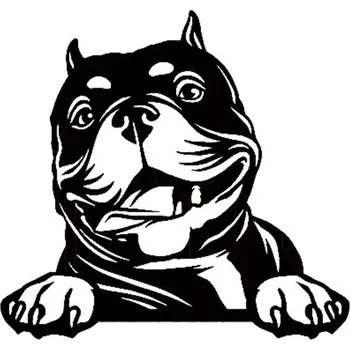 Samolepicí dekorace na vozidlo Samolepka se psem | samolepka na auto, dekorace na auto - QT1257 černá , Šířka 28 cm