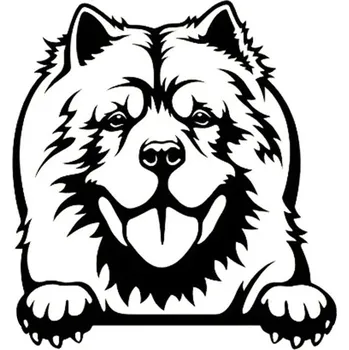 Samolepicí dekorace na vozidlo Samolepka se psem | samolepka na auto, dekorace na auto - QT1256 černá , Šířka 28 cm