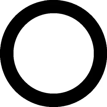 PWS - Professional Water System Těsnění pro přírubu 315mm