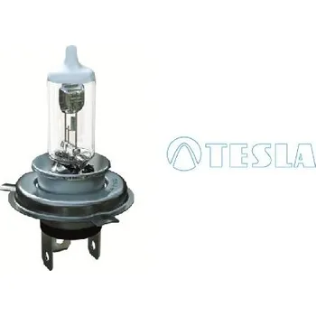 Autožárovka Žárovka TESLA B50401