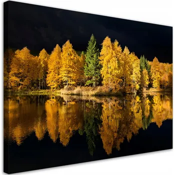 Obraz Obraz na plátně Les Jezero Stromy Příroda 90x60