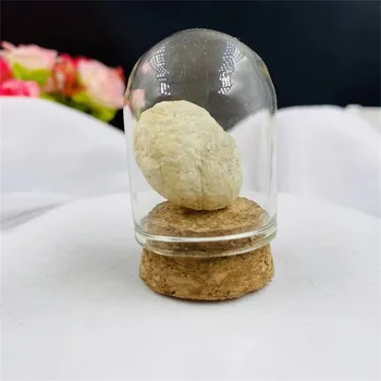 Sběratelství Přírodní kámen, minerál ve sklenici | dekorace do interiéru, sběratelský dárek - achátová geoda