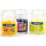 Haribo Sada svíček Berry Mix/Coconut Lime/Tropical Fun 3 x 85 g