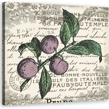 Obraz Obraz na plátně , Vintage Švestka - 50x50