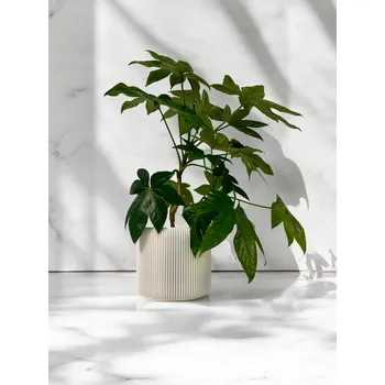 Květináč Plantbee Květináč Umbert 16cm bílá