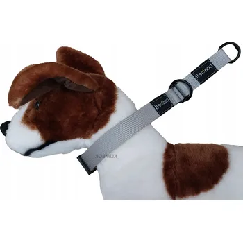 Obojek pro psa Materiálový obojek pro psa Nunbell, velikost L