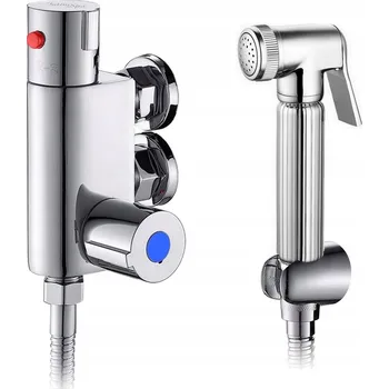 Bidetová sprška IntimSpa stříbrná s termostatickou nástěnnou baterií