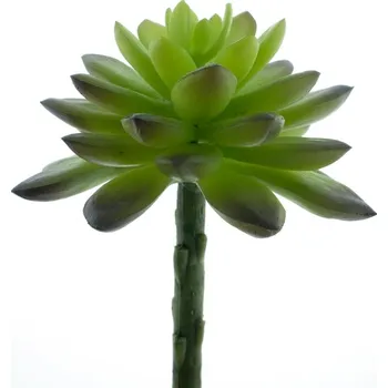 umělá květina umělý sukulent, Echevérie - Dužnatka zelená V13 cm