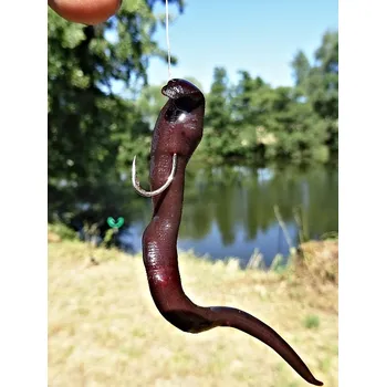 Návnadová surovina Silluro Pijavice koňská mražená Příchutě: 5 ks