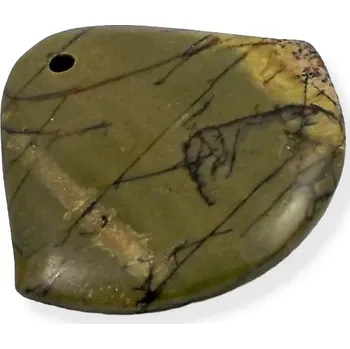 Drahý kámen Jaspisový přívěsek - 1 ks