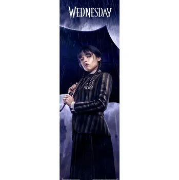 Obraz Plakát 53 x 158 cm