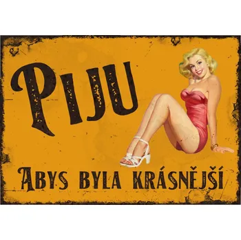 Plechová cedule Plechová cedule Piju, abys byla krásnější