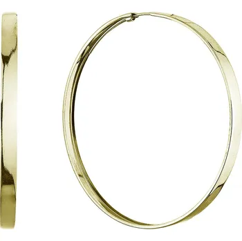 Náušnice EVOLUTION GROUP CZ Stříbrné pozlacené náušnice kruhy 55 mm - 61069