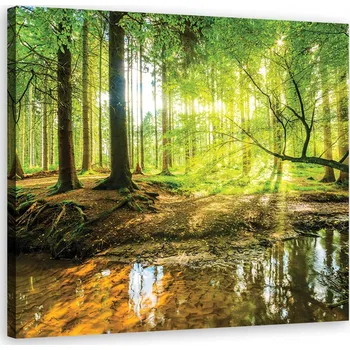 Obraz OBRAZ DO OBÝVÁKU Les Jezero Příroda