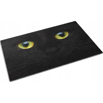 Rohožka Rohožka před dveře na boty 60x40 Černá Kočka