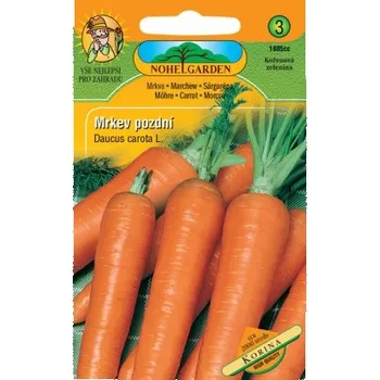 Semeno Mrkev pozdní KORINA