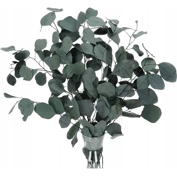 umělá květina Sušený stabilizovaný eukalyptus zelený, kytice