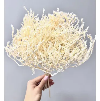 umělá květina Statice tatarika bělená (smetanová) svazek 50g