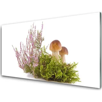 Obklad Skleněné obklady do kuchyně Houby Rostlina Příroda 125x50 cm