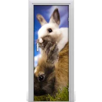 Fototapeta Samolepící fototapeta na dveře Dva králíci 75x205 cm