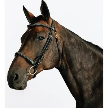 Věšák na sedlo a uzdečku FOUGANZA Kožená uzdečka pro koně a poníky prošívaná s anglickým nánosníkem 580 FS ČERNÁ