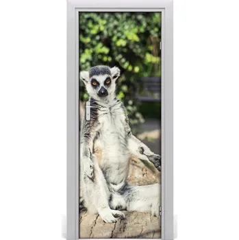 Fototapeta Samolepící fototapeta na dveře Lemur 75x205 cm
