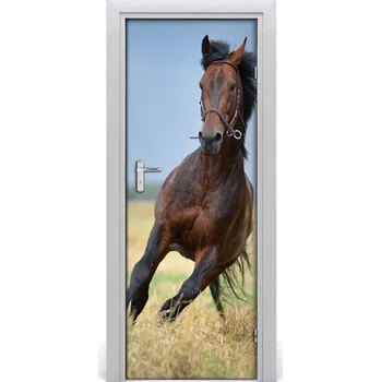 Fototapeta Samolepící fototapeta na dveře Kůň na poli 85x205 cm