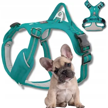 Postroj pro psa POSTROJ GUARD pro psa ADVENTURE silný, nastavitelný, pohodlný PREMIUM tyrkysový S