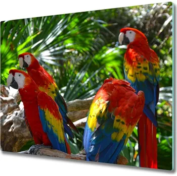 Kuchyňské prkénko Skleněná krájecí deska Papoušky papoušků 60x52 cm