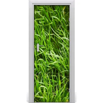 Fototapeta Samolepící fototapeta na dveře Tráva 85x205 cm