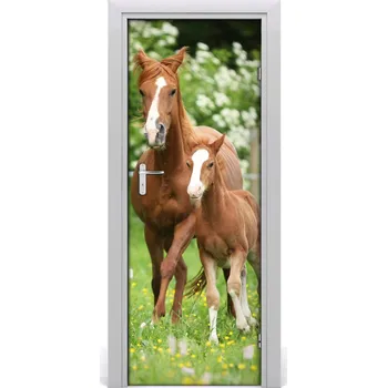 Fototapeta Samolepící fototapeta na dveře Kobyla hřebec 95x205 cm