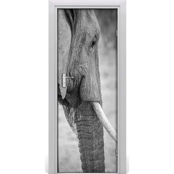 Fototapeta Samolepící fototapeta na dveře Slon 95x205 cm