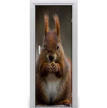 Fototapeta Samolepící fototapeta na dveře Veverka 85x205 cm