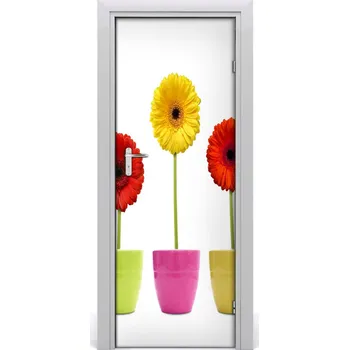 Fototapeta Fototapeta samolepící Barevné gerbery 85x205 cm